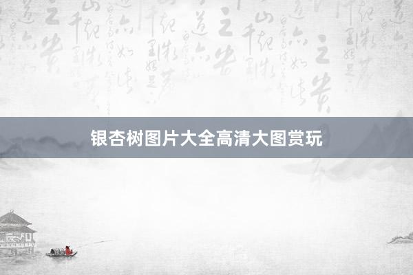 银杏树图片大全高清大图赏玩
