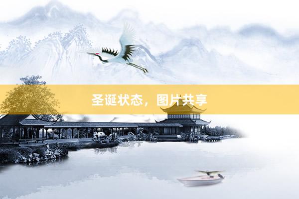 圣诞状态，图片共享