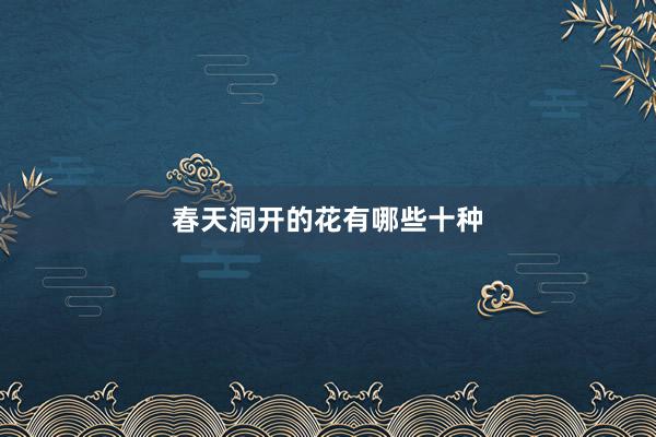 春天洞开的花有哪些十种