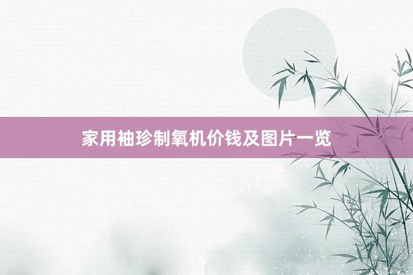 家用袖珍制氧机价钱及图片一览